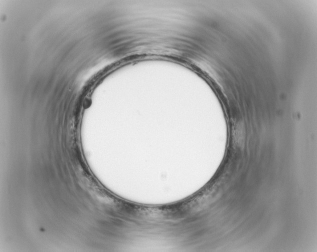 X0000088640971200706221541