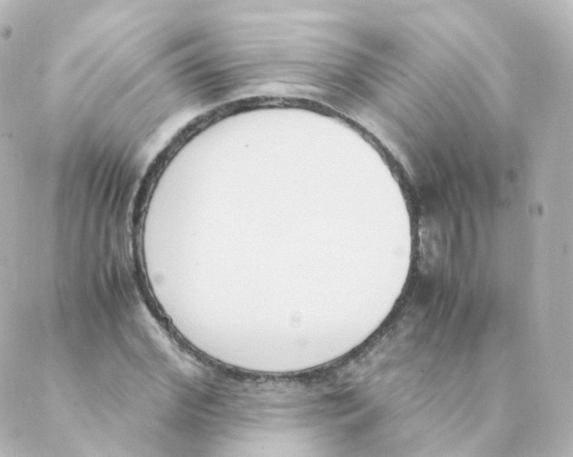 X0000088640972200706221541