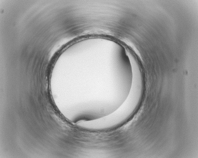 X0000088640973200706221541