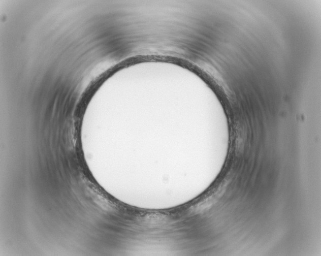 X0000088640974200706221541