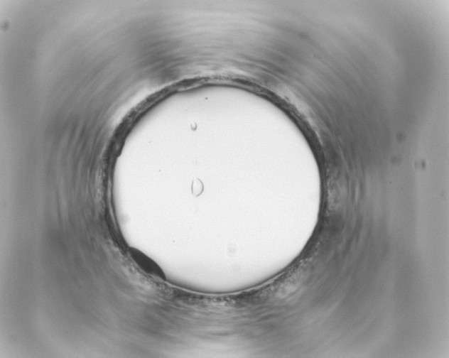 X0000088640975200706221541