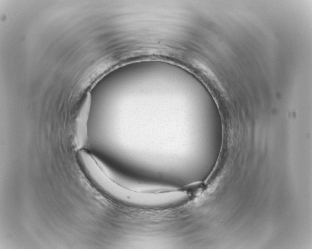 X0000088640977200706221541