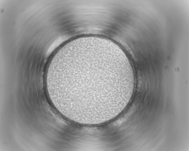 X0000088640978200706221541