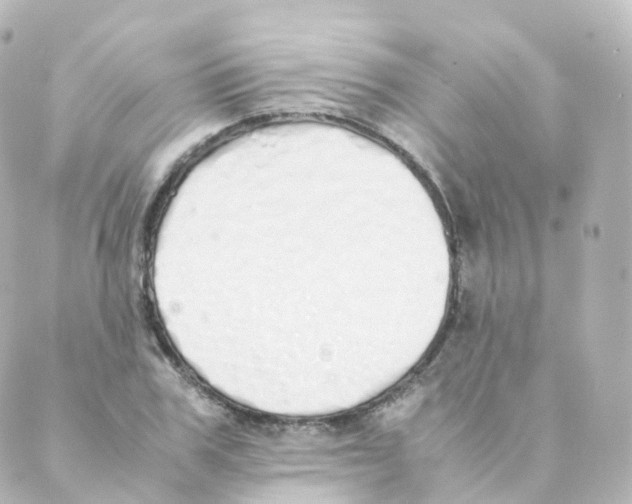 X0000088640979200706221541