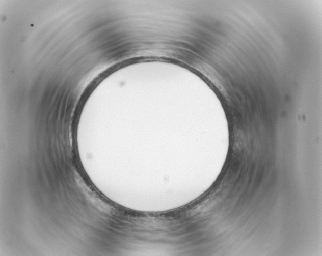 X0000088640980200706221541