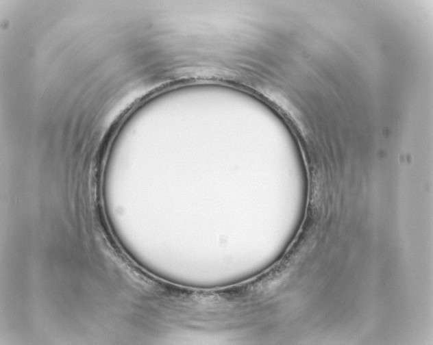 X0000088640983200706221541