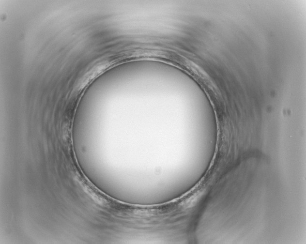 X0000088640985200706221541