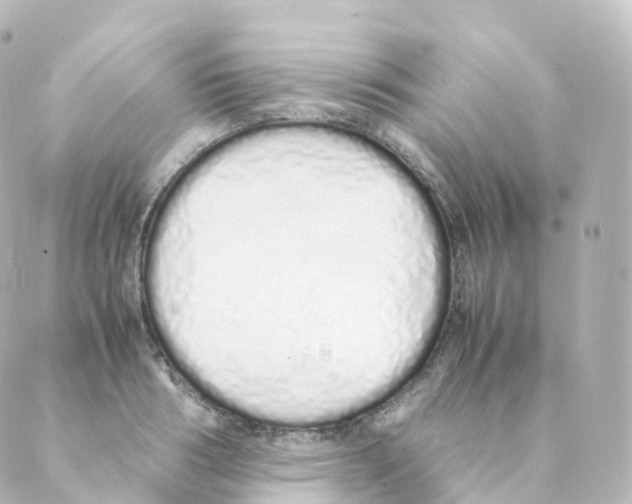 X0000088640986200706221541