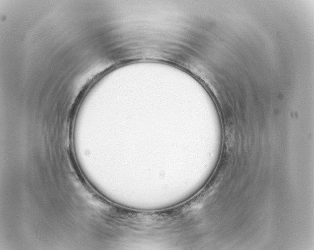 X0000088640987200706221541