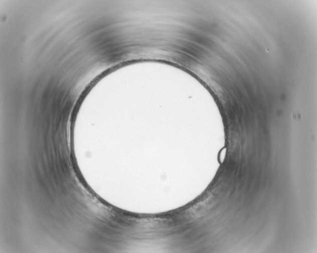 X0000088640988200706221541