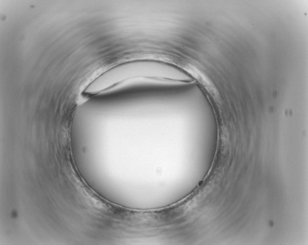 X0000088640993200706221541