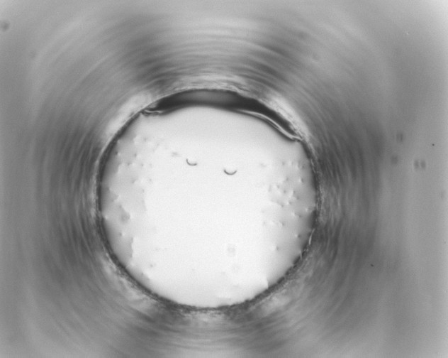 X0000088640994200706221541