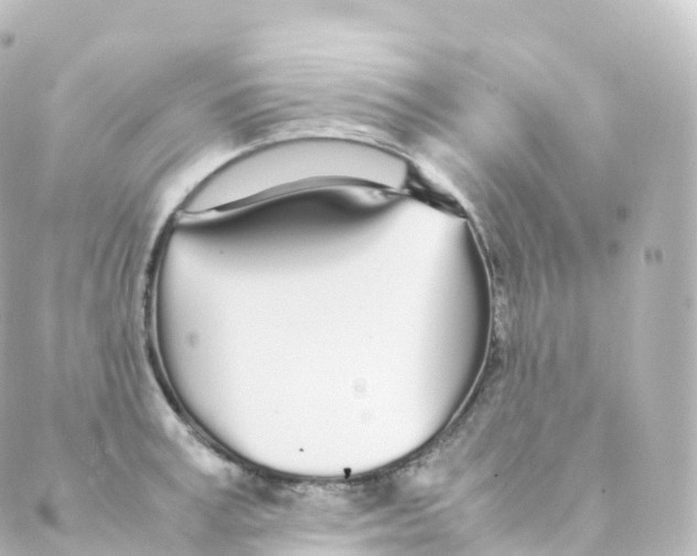 X0000088640995200706221541