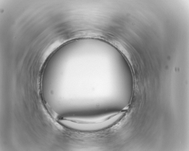 X0000088640997200706221541