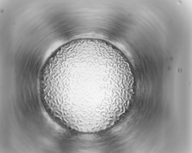 X0000088640998200706221541