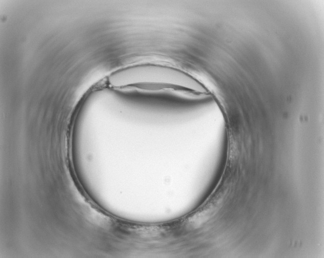 X0000088640999200706221541