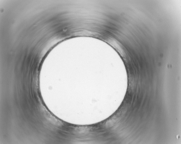 X0000088641000200706221541