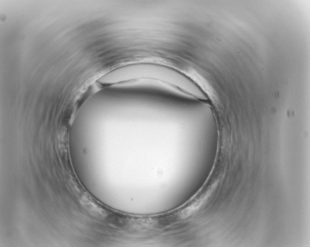 X0000088641001200706221541