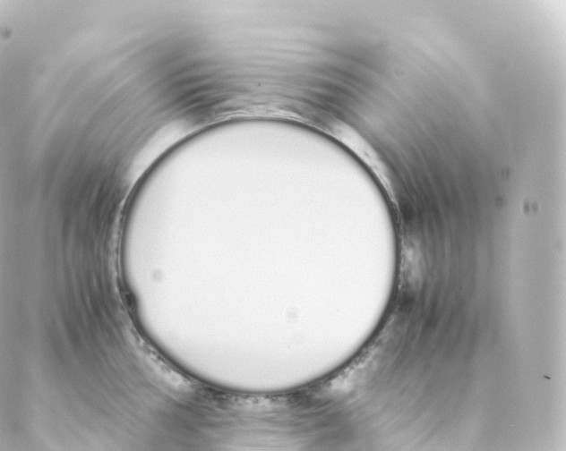 X0000088641002200706221541