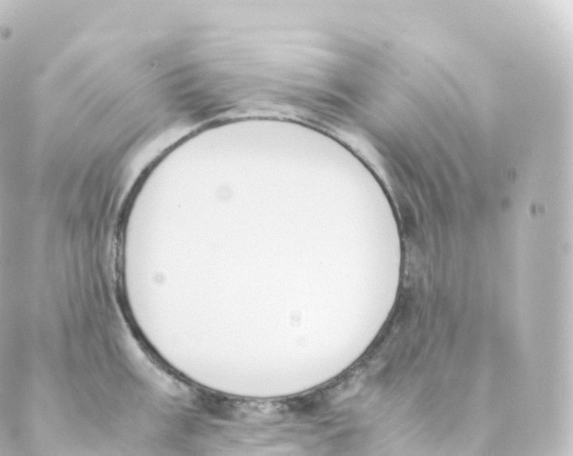 X0000088641003200706221541