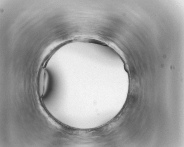 X0000088641005200706221541