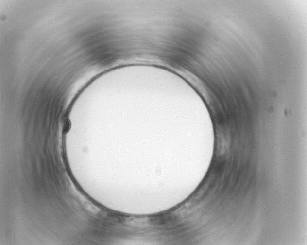 X0000088641006200706221541