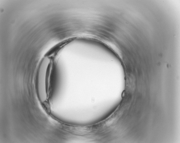 X0000088641007200706221541