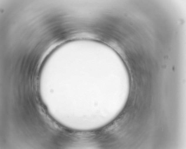 X0000088641008200706221541