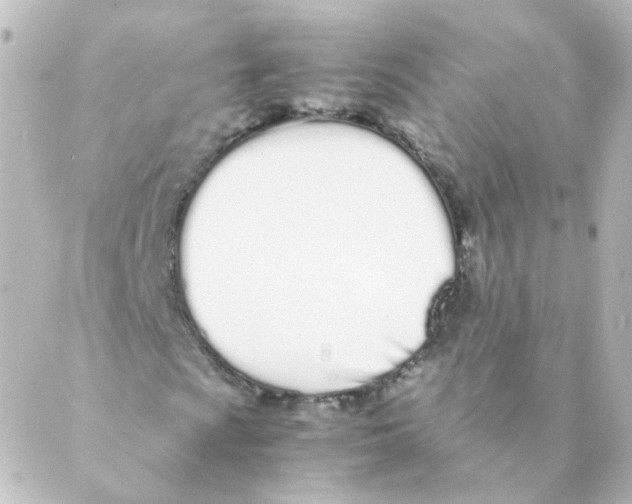 X0000088641009200706221540