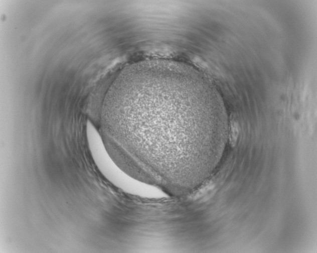 X0000088641010200706221540