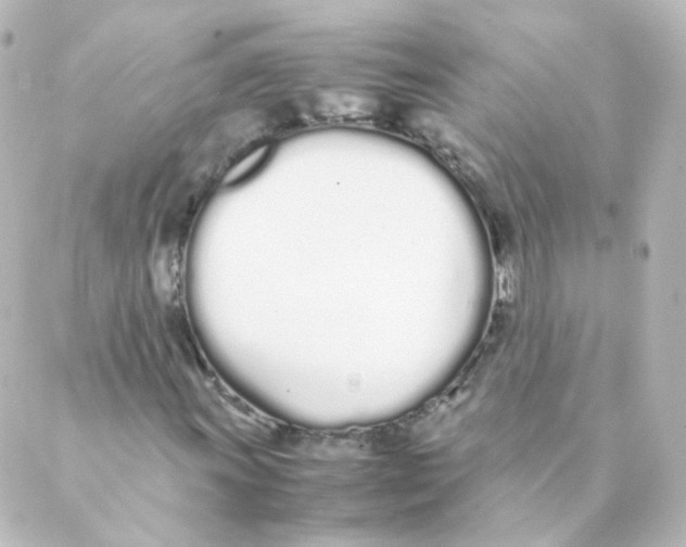 X0000088641011200706221540