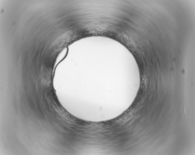 X0000088641012200706221540