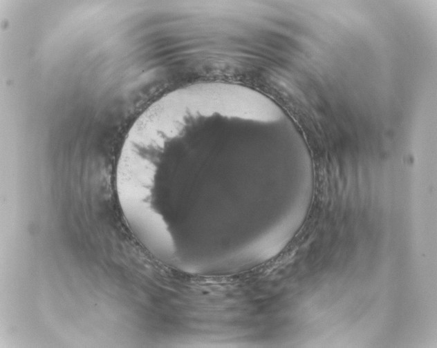 X0000088641013200706221540