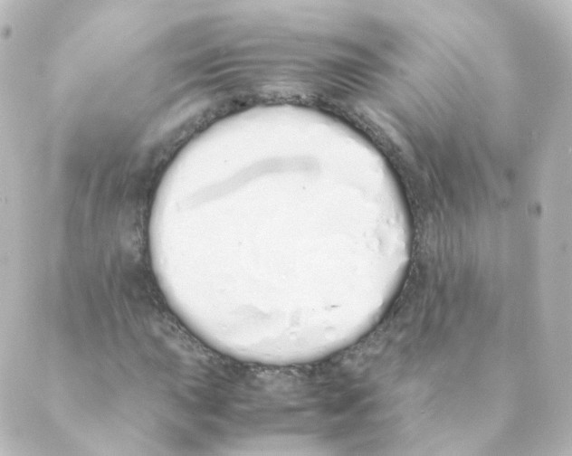 X0000088641015200706221540