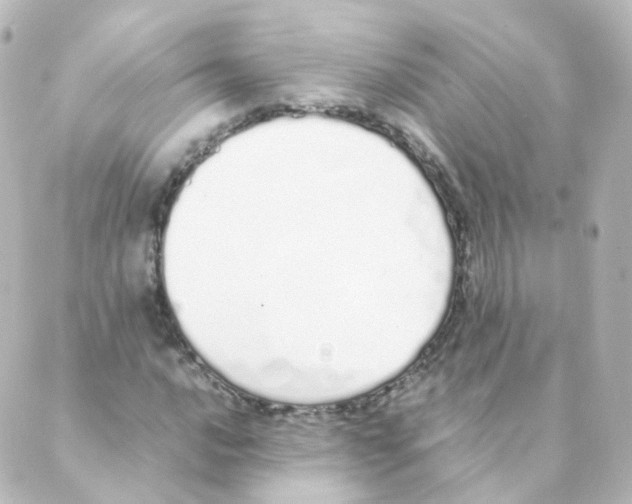 X0000088641016200706221540