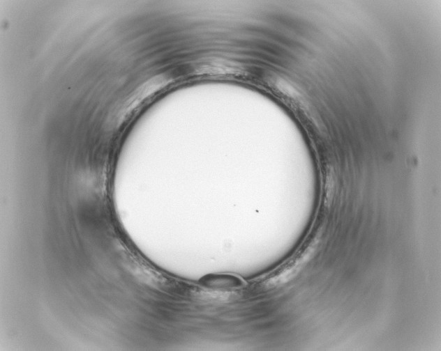 X0000088641017200706221540