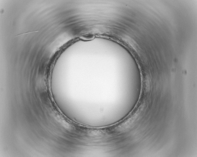 X0000088641018200706221540