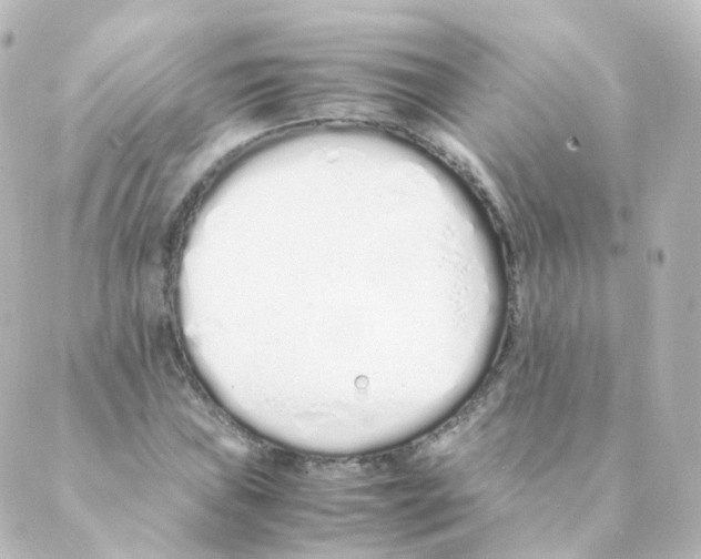 X0000088641019200706221540