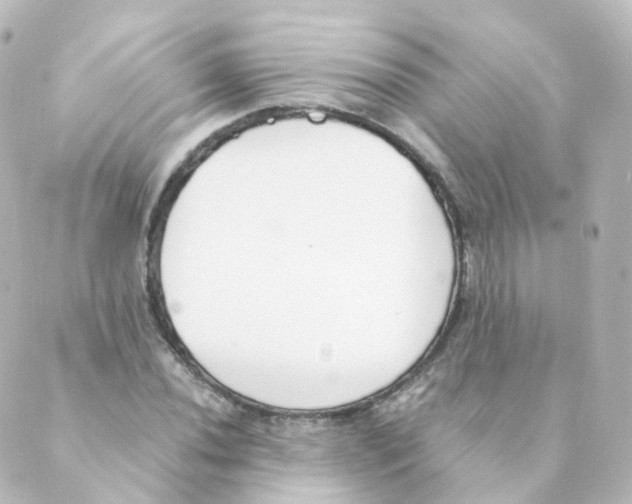 X0000088641020200706221540