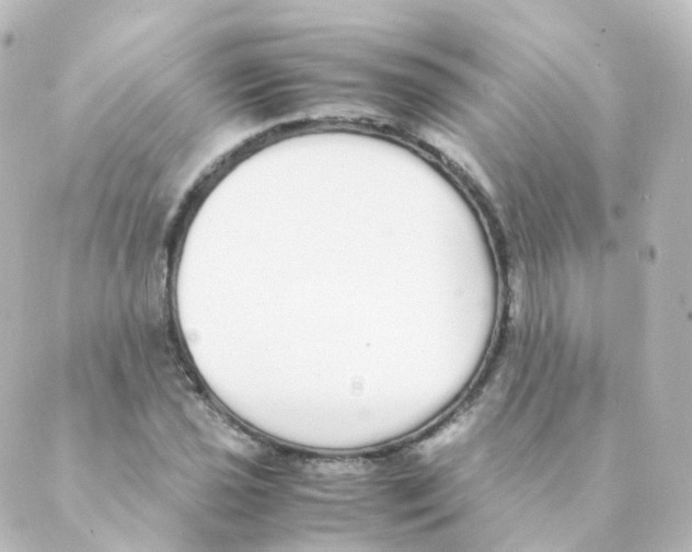 X0000088641021200706221540