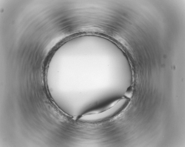 X0000088641022200706221540