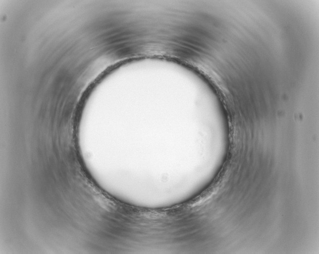 X0000088641023200706221540