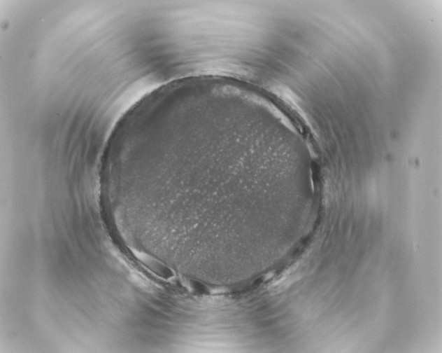 X0000088641024200706221540