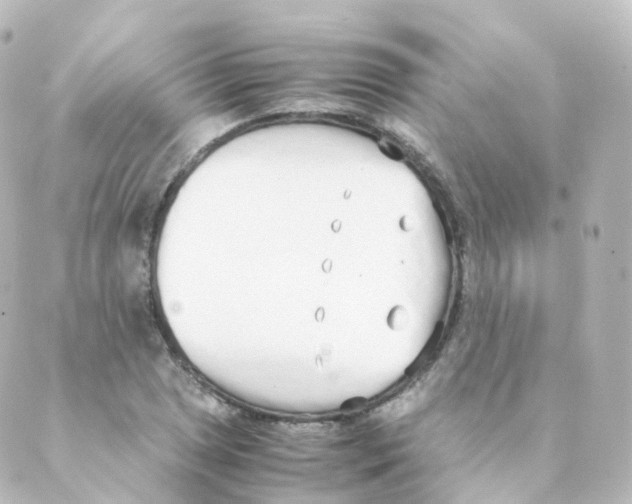 X0000088641025200706221540