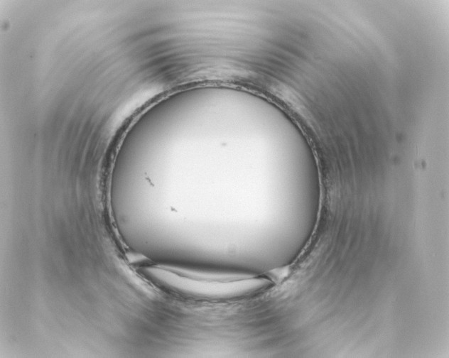 X0000088641026200706221540