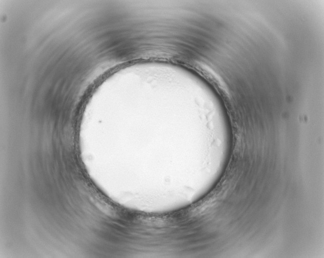 X0000088641027200706221540