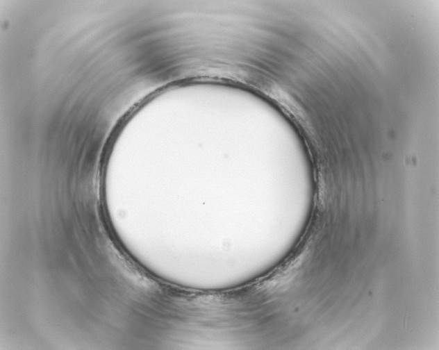 X0000088641028200706221540