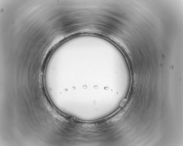 X0000088641029200706221540