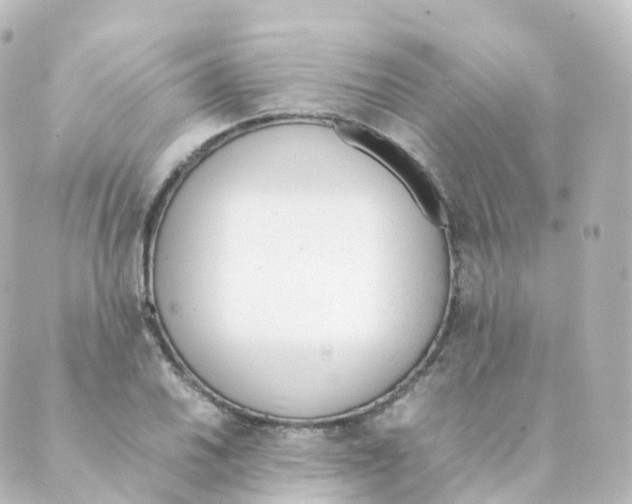 X0000088641030200706221540