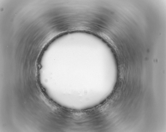 X0000088641031200706221540